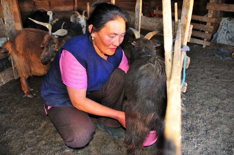 Mongolia